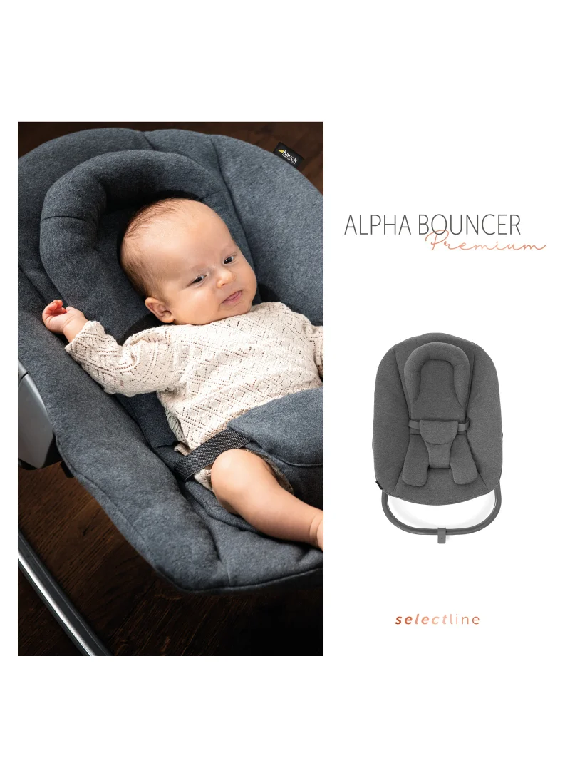 هوك Newborn Bouncer Premium Attachment For High Chair Alpha And Beta From Birth - 2 In 1 Baby Attachment (Lounger And Rocker) For Newborns With Adjustable Backrest And Cotton - Dark Grey