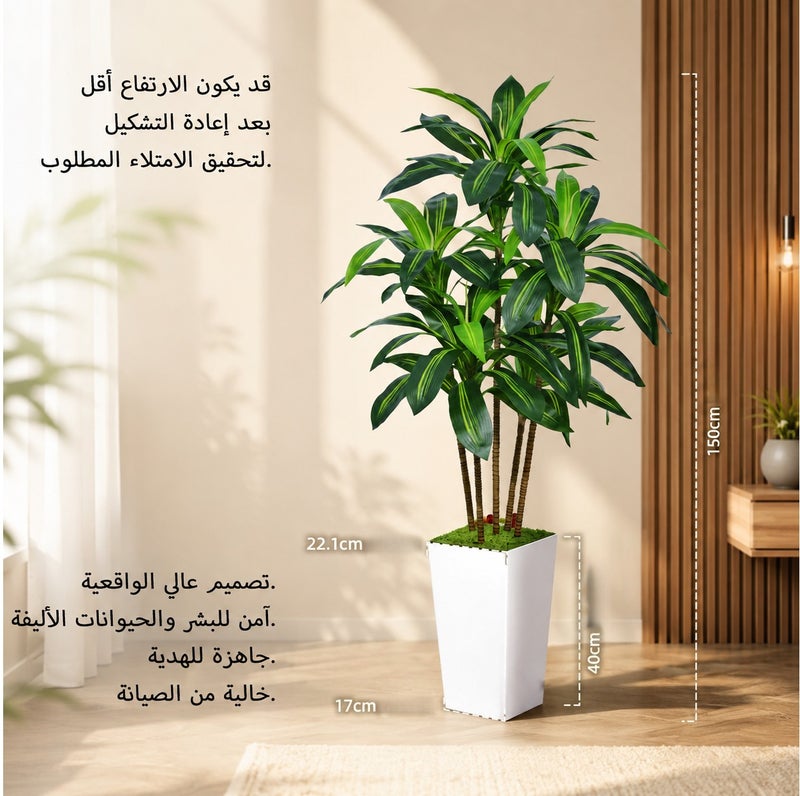 زفيزفيا شجرة Dracaena الاصطناعية 150 سم مع زراعة بيضاء - واقعية مزيفة استوائية يوكا نبات للمنزل والمكتب وغرفة المعيشة ديكور - شجرة الحرير الداخلية خالية من الصيانة - Image 3