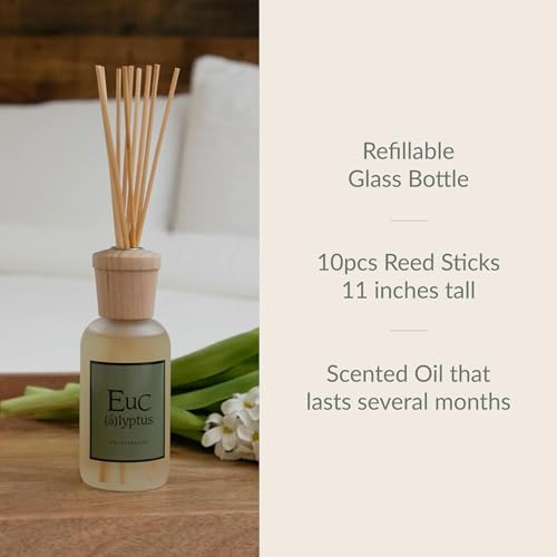 Archipelago Botanicals Eucalyptus Reed Diffuser, Home Fragrance Reed Diffuser, Includes Fragrance Oil, Decorative Wooden Cap & 10 Diffuser Reeds, Perfect for Home, Office or Gift, 7.85 fl oz - Image 3