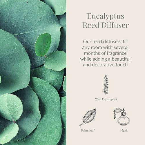 Archipelago Botanicals Eucalyptus Reed Diffuser, Home Fragrance Reed Diffuser, Includes Fragrance Oil, Decorative Wooden Cap & 10 Diffuser Reeds, Perfect for Home, Office or Gift, 7.85 fl oz - Image 2