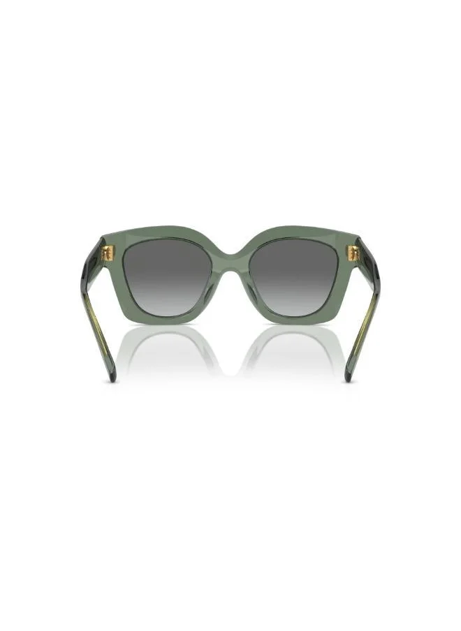 Tory Burch Acetate Sunglasses