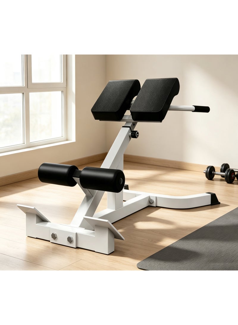 Anvanke Dual Adjustable Hyperextension Roman Chair, Height & Angle Adjustable Back Extension Bench, Multi-Functional Home Gym Strength Training Workout Equipment - Image 1