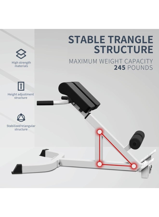 Anvanke Dual Adjustable Hyperextension Roman Chair, Height & Angle Adjustable Back Extension Bench, Multi-Functional Home Gym Strength Training Workout Equipment - Image 3