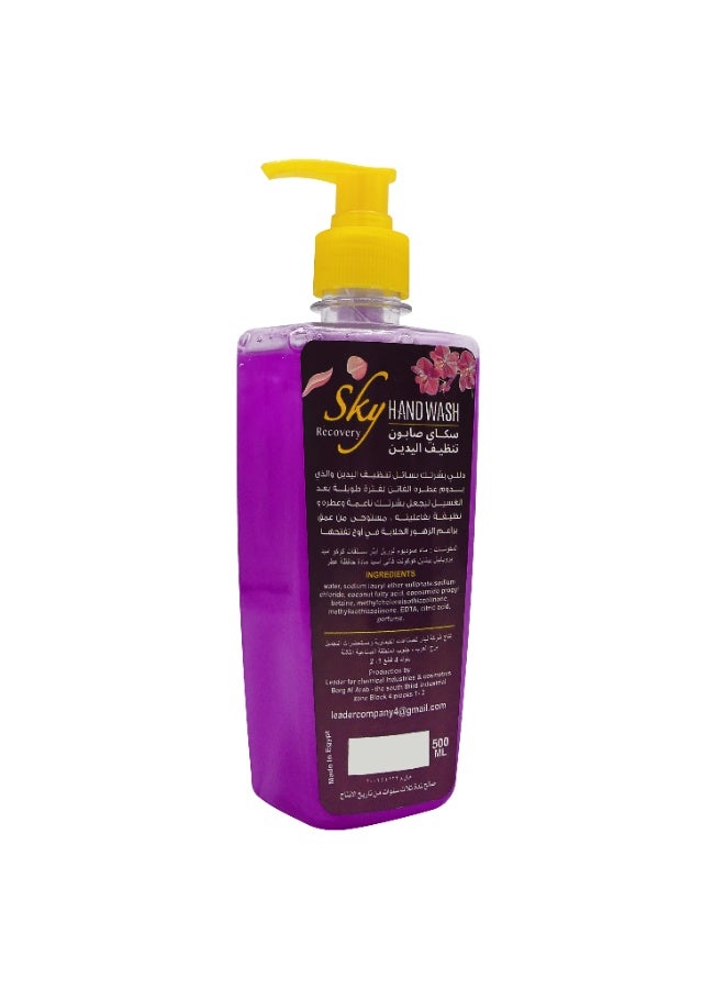 SKY Recovery Hand Wash - 500Ml - Image 3