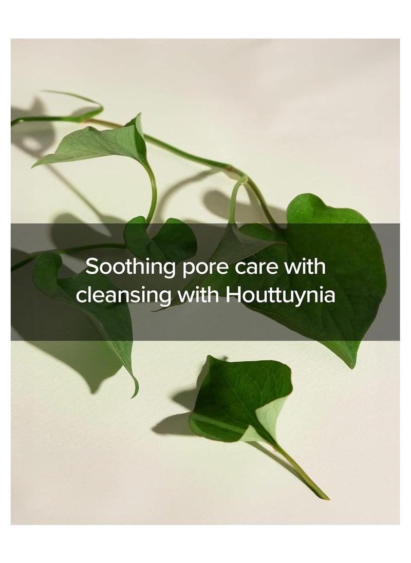 MARY & MAY Mary&May Houttuynia Cordata + Tea Tree Cleansing Foam 5.07 Fl Oz / 150 ml | Pore Care, Cleanser for Trouble, Relieve Skin, Creamy Texture | Sensitive Skin  - Image 4