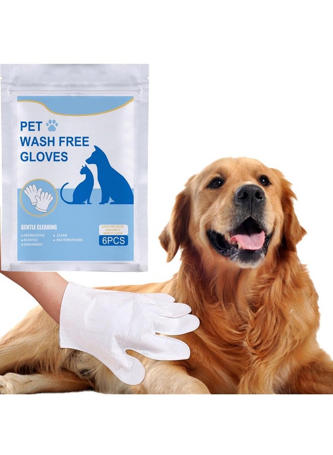 Felico Pet Wash Free Grooming Gloves, 6Pcs Cleaning Cat Dog Wipes for Face, Ear, Eye, Paws Pet Body Rinse Free Gloves, No Rinse Thick Extra Puppy Wipes, Disposable Plant-Based Dog Bath Wipes - Image 1