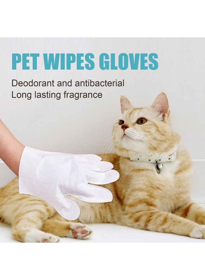 Felico Pet Wash Free Grooming Gloves, 6Pcs Cleaning Cat Dog Wipes for Face, Ear, Eye, Paws Pet Body Rinse Free Gloves, No Rinse Thick Extra Puppy Wipes, Disposable Plant-Based Dog Bath Wipes - Image 5
