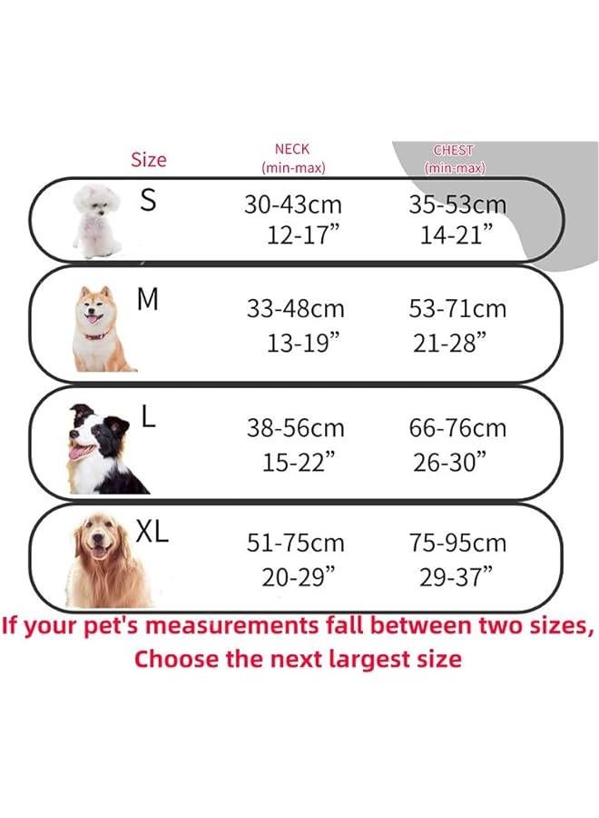 HOOKOR Dog Harness, No-Pull Dog Harness with 2 Leash Clips, Reflective Adjustable Soft Padded Vest with 5FT Dog Leash, Dog Seat Belt, and Storage Strap, Set for Small Medium Large Dogs (L) - Image 2