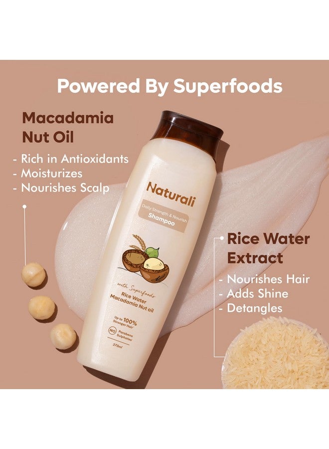 طبيعي شامبو Naturali Daily Strength & Nourish بماء الأرز وزيت جوز المكاديميا | يجعل الشعر أقوى | شامبو خالٍ من البارابين والكبريتات | شامبو للشعر الجاف المجعد | 370 مل - Image 4