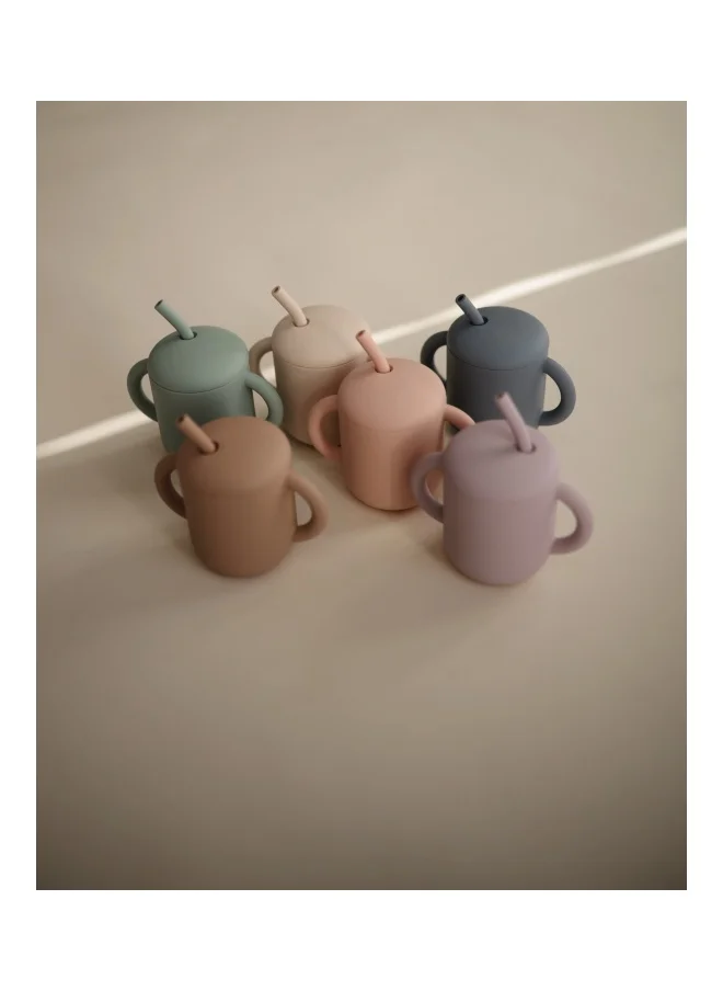 mushie Silicone Training Cup + Straw Blush