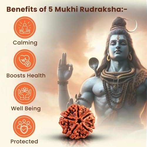 Divine Hindu Rudraksha Beads Magnet Bracelet | Lab Certified | Adjustable Size | For Men and Women - Image 5