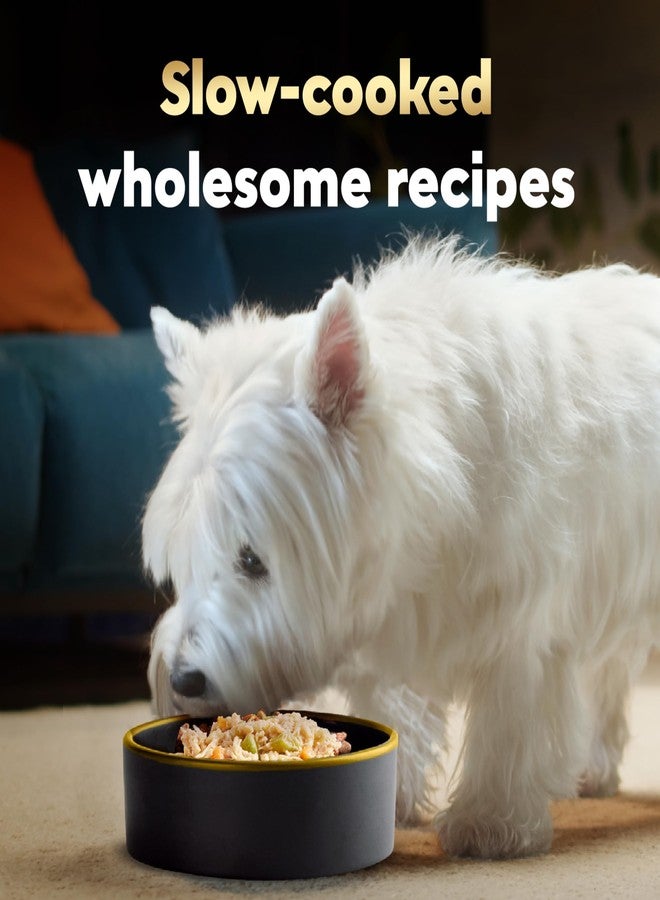 Cesar Wholesome Meals Chicken, Carrots, Barley & Green Beans Wet Dog Food, 17.6 oz. Pouch (6 Count) - Image 3