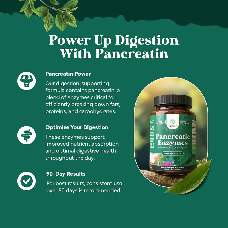 Natures Craft Pancreatin Digestive Enzymes for Digestive Health  Pancreatic Enzymes for Humans with Fat Carb and Protein Women and Men  Protease Amylase  Lipase Digestion 120ct - Image 2