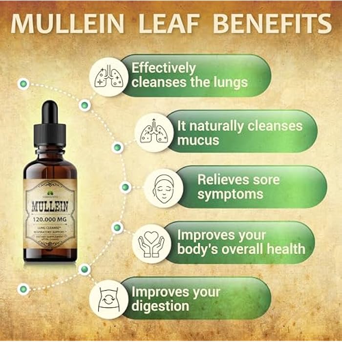 HERBALICIOUS قطرات المولين العشبية لتنظيف الرئتين - مكمل عضوي لتنظيف الرئتين مع مستخلص ورق المولين (Verbascum Thapsus) - صيغة سائلة نباتية، خالية من الكائنات المعدلة وراثيًا - 4 أونصات سائلة - Image 5