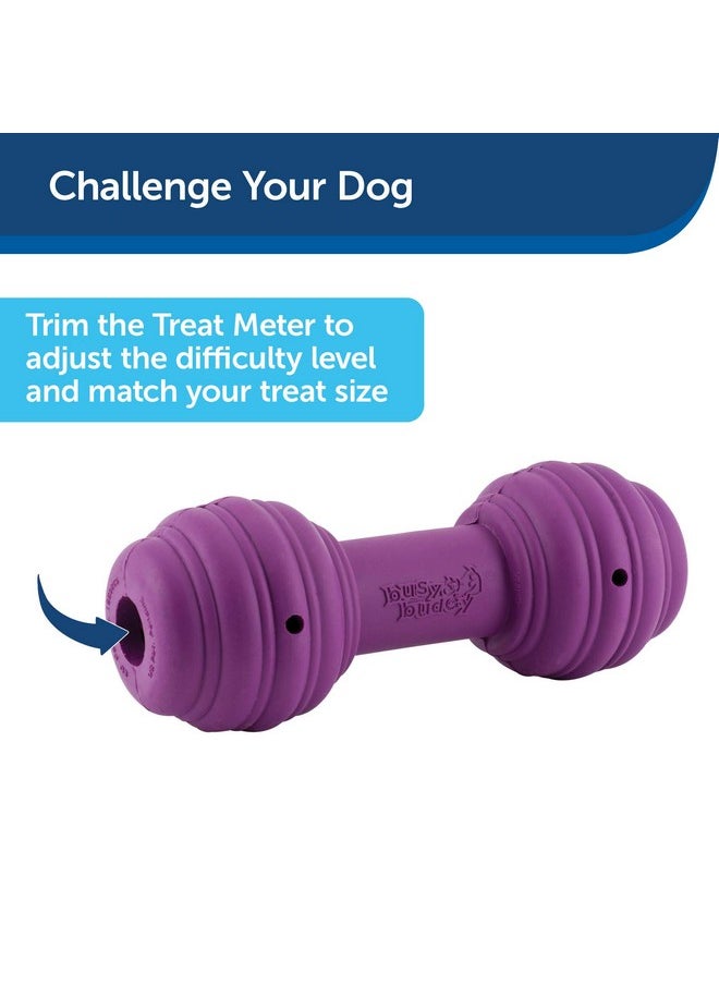 PetSafe PetSafe Busy Buddy Chuckle Sound Dog Chew Toy - Treat Dispenser, BB-CHK, Purple,Medium/Large  - Image 3