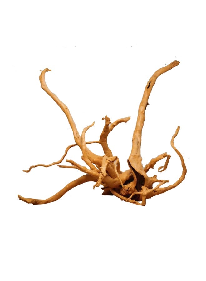 Aquarium Decorations Natural Rhododendron Root Landscape Twisted Driftwood Root Wood Accessories - Image 2