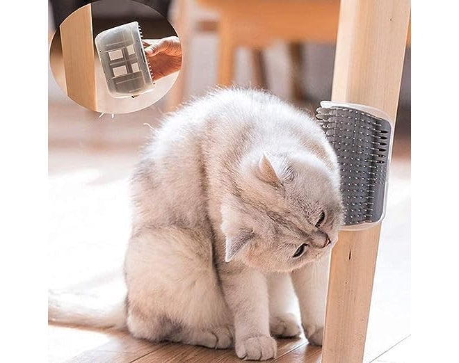 Pups&Pets Cat Self Groomer Wall Corner Groomers Soft Grooming Brush Massage Combs for Short Long Fur Cats, Softer Massager Toy for Kitten Puppy (Cat Brush, Multicolor) - Image 3