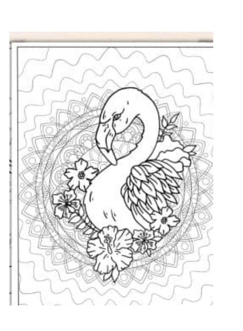 Flamingo A4 Color Paper Book 48 Sheets Assorted Color - Image 3