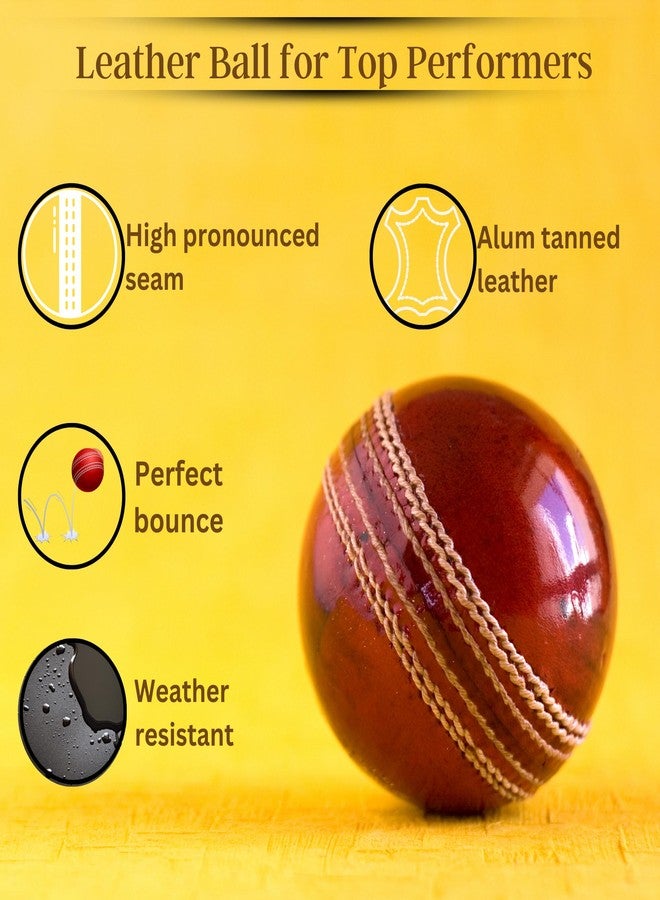 MOSVOLD Professional Grade Red Leather Cricket Ball - Handcrafted, Weather Resistant, Ideal for Club & Professional Matches | Durable & Superior Performance - Image 2