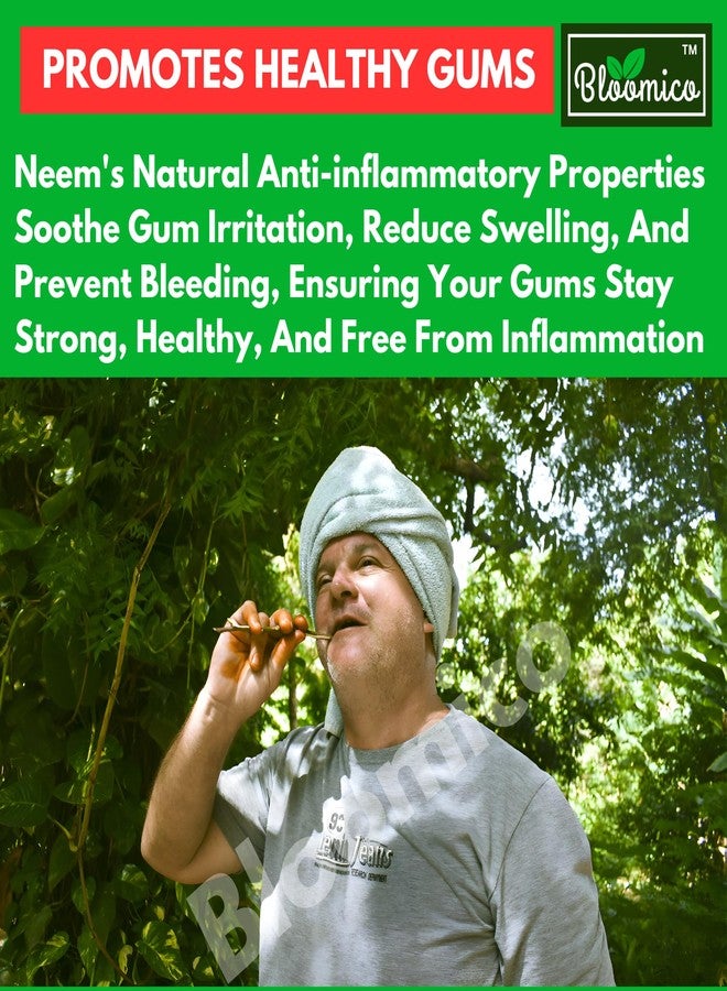 Bloomico Natural Neem Chew Sticks - Ayurvedic Organic Neem Datun (50 Pieces) Nim Tree Twigs for Teeth Brushing, Bad Breath Elimination, Tooth Ache Relief & Healthy Gums - (Pack of 50) - Image 2