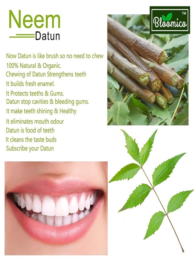 Bloomico Natural Neem Chew Sticks - Ayurvedic Organic Neem Datun (50 Pieces) Nim Tree Twigs for Teeth Brushing, Bad Breath Elimination, Tooth Ache Relief & Healthy Gums - (Pack of 50) - Image 3