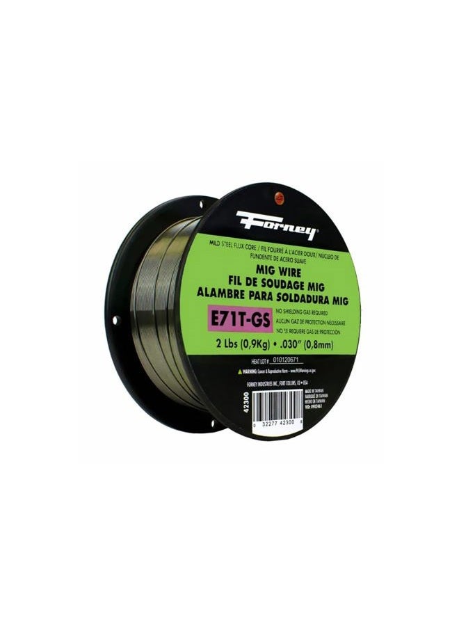 Forney 42300 Flux Core Mig Wire, Mild Steel E71TGS.030-Diameter, 2-Pound Spool, Silver, Pack of 1 - Image 1