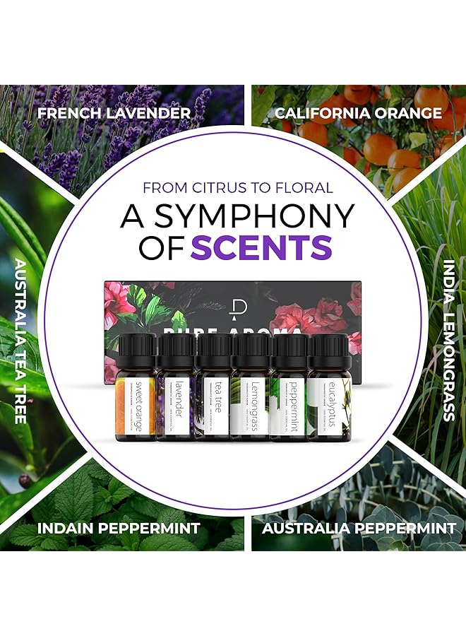 erorex Essential Oils 100 Percent Therapeutic Grade Oils Kit Top 6 Aromatherapy Oils Gift Set 6 Pack 10Ml Eucalyptus Lavender Lemon Grass Orange Peppermint Tea Tree  - Image 4