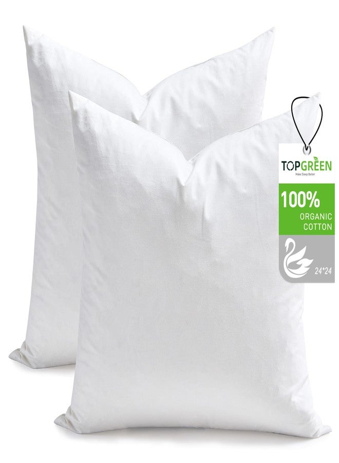 TOPGREEN حشوات وسائد TOPGREEN من الريش الناعم مقاس 24x24، طقم من قطعتين، غطاء من القطن العضوي 100%، وسائد مربعة ناعمة مزخرفة للأريكة أو الكنبة أو السرير (أبيض) - Image 1