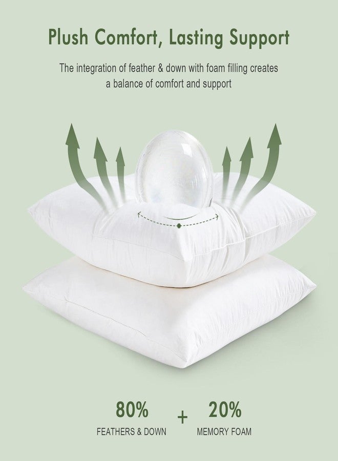 TOPGREEN حشوات وسائد TOPGREEN من الريش الناعم مقاس 24x24، طقم من قطعتين، غطاء من القطن العضوي 100%، وسائد مربعة ناعمة مزخرفة للأريكة أو الكنبة أو السرير (أبيض) - Image 3