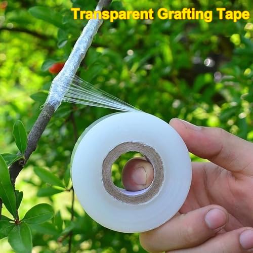 kulusion 4 Pcs Grafting Tape for Fruit Trees Floral Tape Grafting Tools Plant Tape Garden Plant Nursery Tape PE Stretchable Self Adhesive Membrane Clear Floristry Film - Image 3