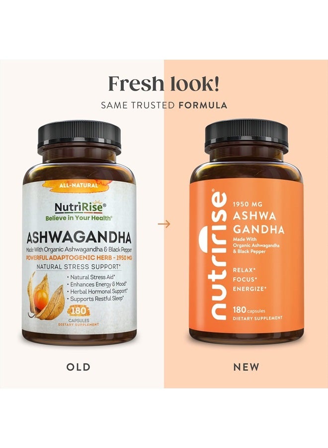 NUTRIRISE Organic Ashwagandha Root Capsules with Black Pepper 1950mg, Natural Stress & Mood, Thyroid & Immune Support Supplement, Sleep Aid, Nootropic for Focus & Energy, Gluten Free, 180 Count - Image 2