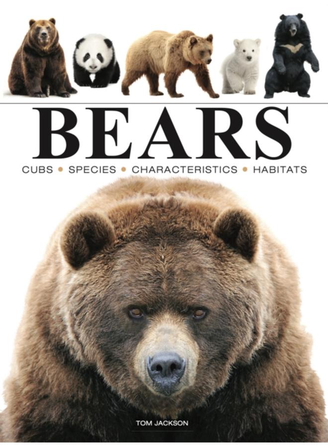 Bears 