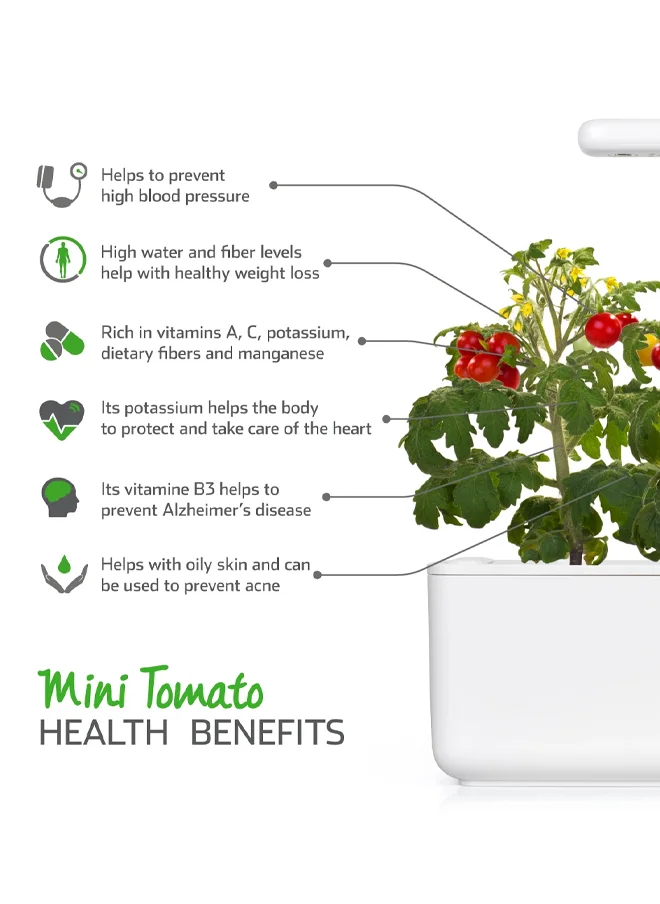 Click & Grow CLICK & GROW MINI TOMATO REFILL 3 PACK