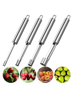 Oasisgalore 4-Piece Stainless Steel Fruit Corer and Pitter Set, 4 Sizes for Pears, Cherries, and Dates  - Image 1