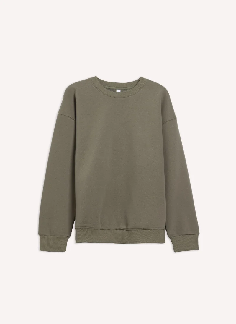 SHAPES HEAVYWEIGHT SWEATSHIRT