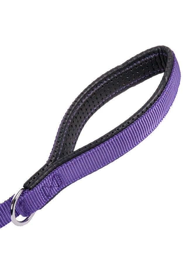 GOGO Pet Products 5/8-Inch Wide Comfy Nylon Dog Leash, 4-Feet Long, Purple - Image 2