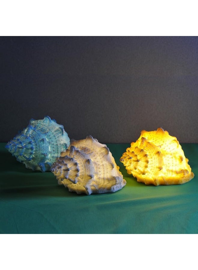 YINZUO YINZUO Conch Shell Night Light Battery Operated Resin Beach Lamp LED Nautical Lighting for Bedroom, Kids Room, Nightstand  - Image 5