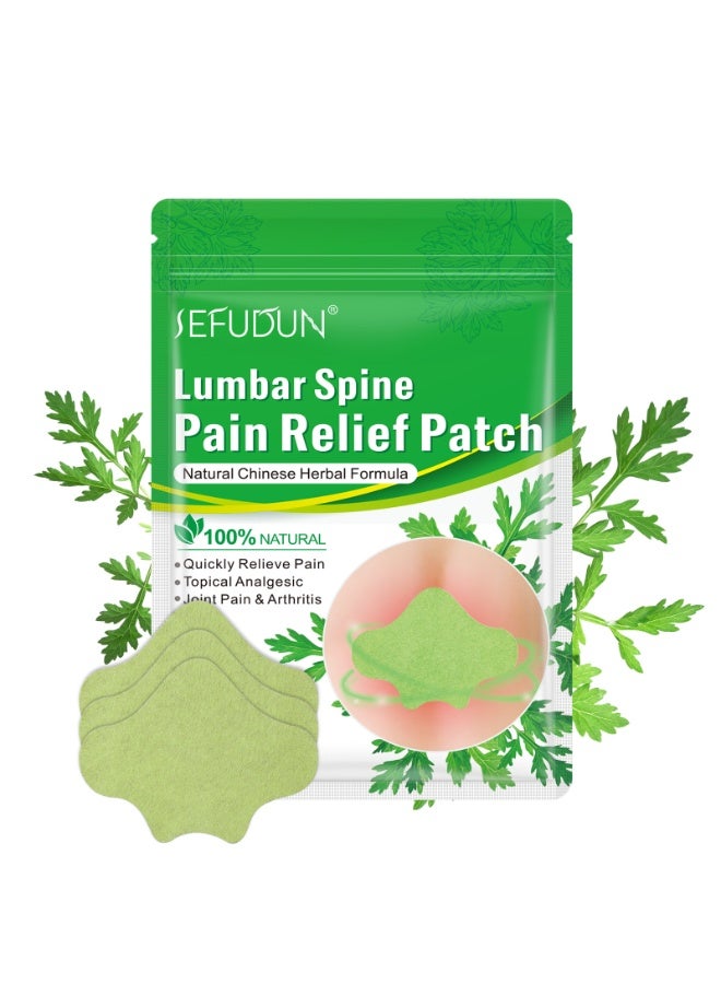 SEFUDUN Artemisia Argyi Lumbar Patch - Natural Moxa Back Pain Relief Patch, Self-Heating & Breathable Waist Patch for Lower Back Discomfort, Long-Lasting Comfort for Office Workers/Drivers - Image 2