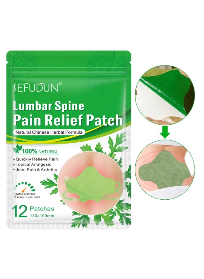 SEFUDUN Artemisia Argyi Lumbar Patch - Natural Moxa Back Pain Relief Patch, Self-Heating & Breathable Waist Patch for Lower Back Discomfort, Long-Lasting Comfort for Office Workers/Drivers - Image 1
