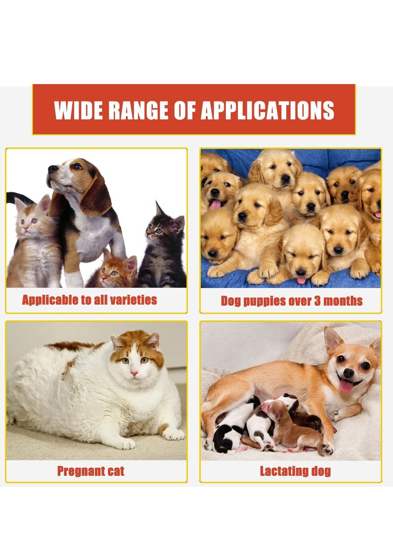 ييبونغ Yegbong الحيوانات الأليفة مسحوق مرقئ القط والكلب مسمار نزيف مسحوق مرقئ علاج الجروح وقف سريع مسحوق تنظيف مرقئ - Image 5