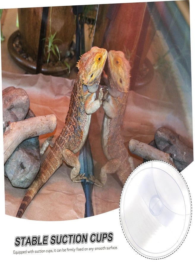 INOOMP Reptile Humidifier Extension Tube with Suction Cups Flexible Transparent Hose for Turtle Tank Accessories and Gecko Enclosure Misting System, 16.3 Inch - Image 2