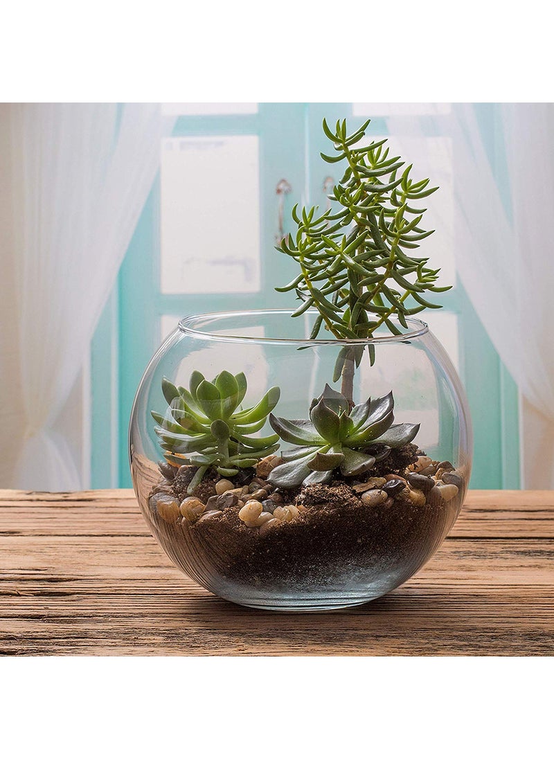 Incrizma Incrizma Terarium Glass Bubble Bowl, Fish Bowl, Rose Bowl - Glass Round Vase for Weddings, Events, Decorating, Arrangements for Office or Home Decor (Dia - 20 CM)  - Image 2