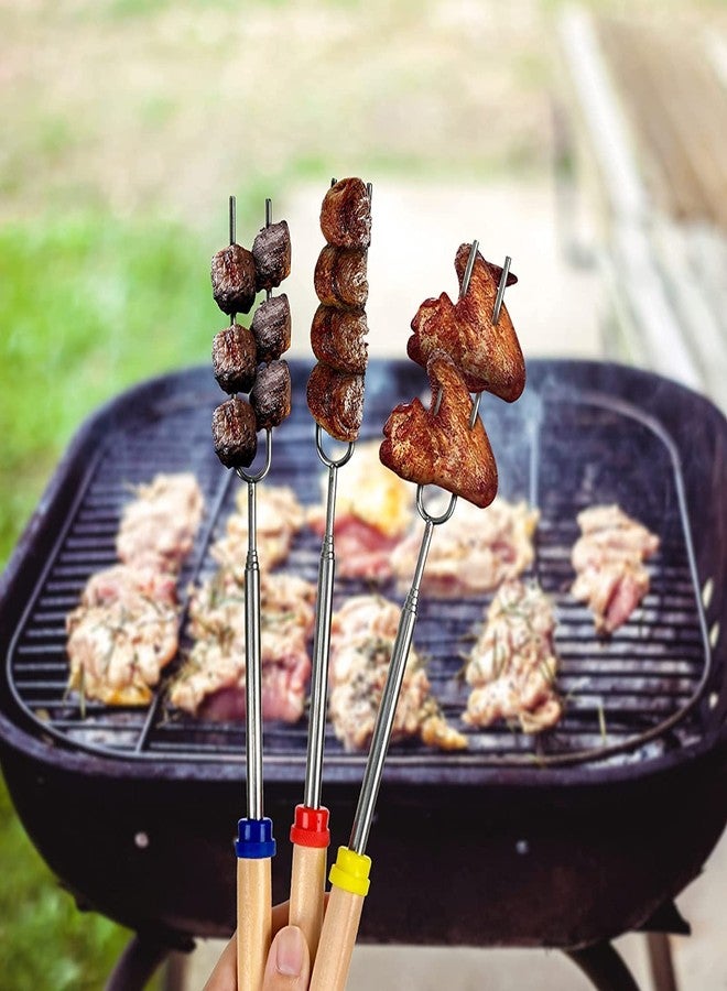 Simple Deluxe 24 Pcs 32 inch Marshmallow Roasting Sticks Extendable Design - Stainless Steel Smores Skewers For Camping, Bonfire, Fireplace, Retractible Sticks with Wooden Handle - Image 2