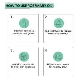 Rey Naturals Rey Naturals Rosemary Essential Oil  Rosemary Oil for Hair Growth  Good For Skin Body and Shiny Soft Hair  Pure  Non Greasy  Hair Fall Control  Hair Growth Oil For Women  Men  15ml pack of 3 - Image 5