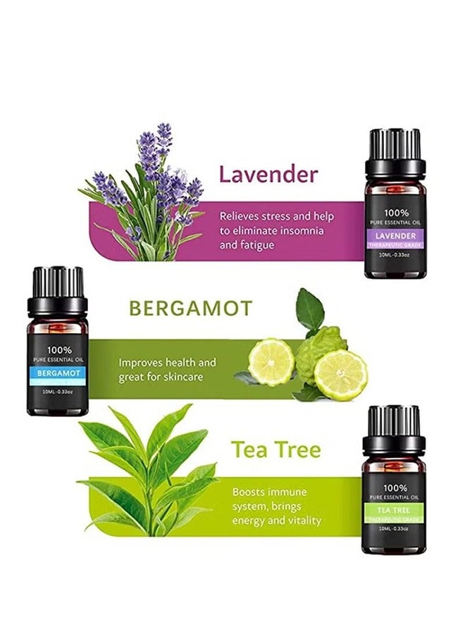 100% Pure 6-Pack Aromatherapy Essential Oils Therapeutic Grade Essential Oils Gift Set - Image 3