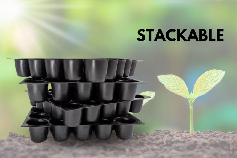 Halsey 25-Cavity Big Holes Plastic Seedling Tray with Drainage Holes, Reusable Plant Growing Tray for Vegetables and Herbs, Black (Pack of 10) - Image 3