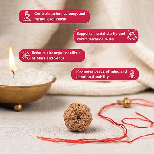 GEMSMANTRA 6 Mukhi Rudraksha Without Silver Pendant Original Nepali, Regular Size, Natural and Lab Certified, Helps to Improve Wisdom, Knowledge, Helps in Balance Emotional Stability for Men & Women - Image 5