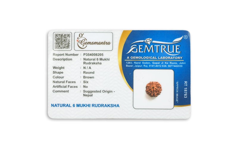 GEMSMANTRA 6 Mukhi Rudraksha Without Silver Pendant Original Nepali, Regular Size, Natural and Lab Certified, Helps to Improve Wisdom, Knowledge, Helps in Balance Emotional Stability for Men & Women - Image 4