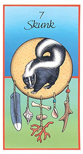 U.S. Games Systems, Inc. US Games Medicine Cards & Book - Image 4