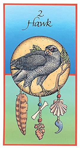 U.S. Games Systems, Inc. US Games Medicine Cards & Book - Image 3